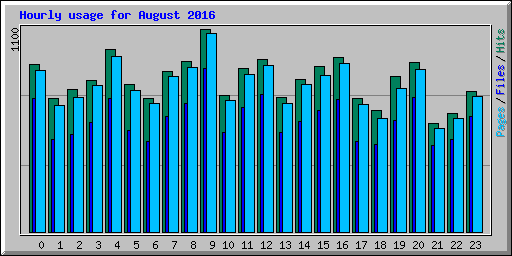 Hourly usage for August 2016