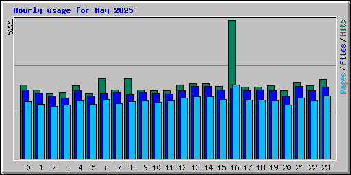 Hourly usage for May 2025