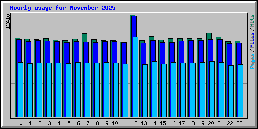 Hourly usage for November 2025