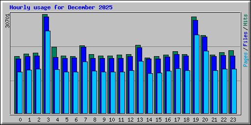 Hourly usage for December 2025