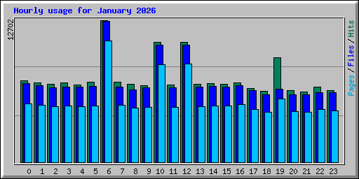 Hourly usage for January 2026