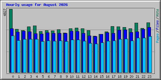 Hourly usage for August 2026